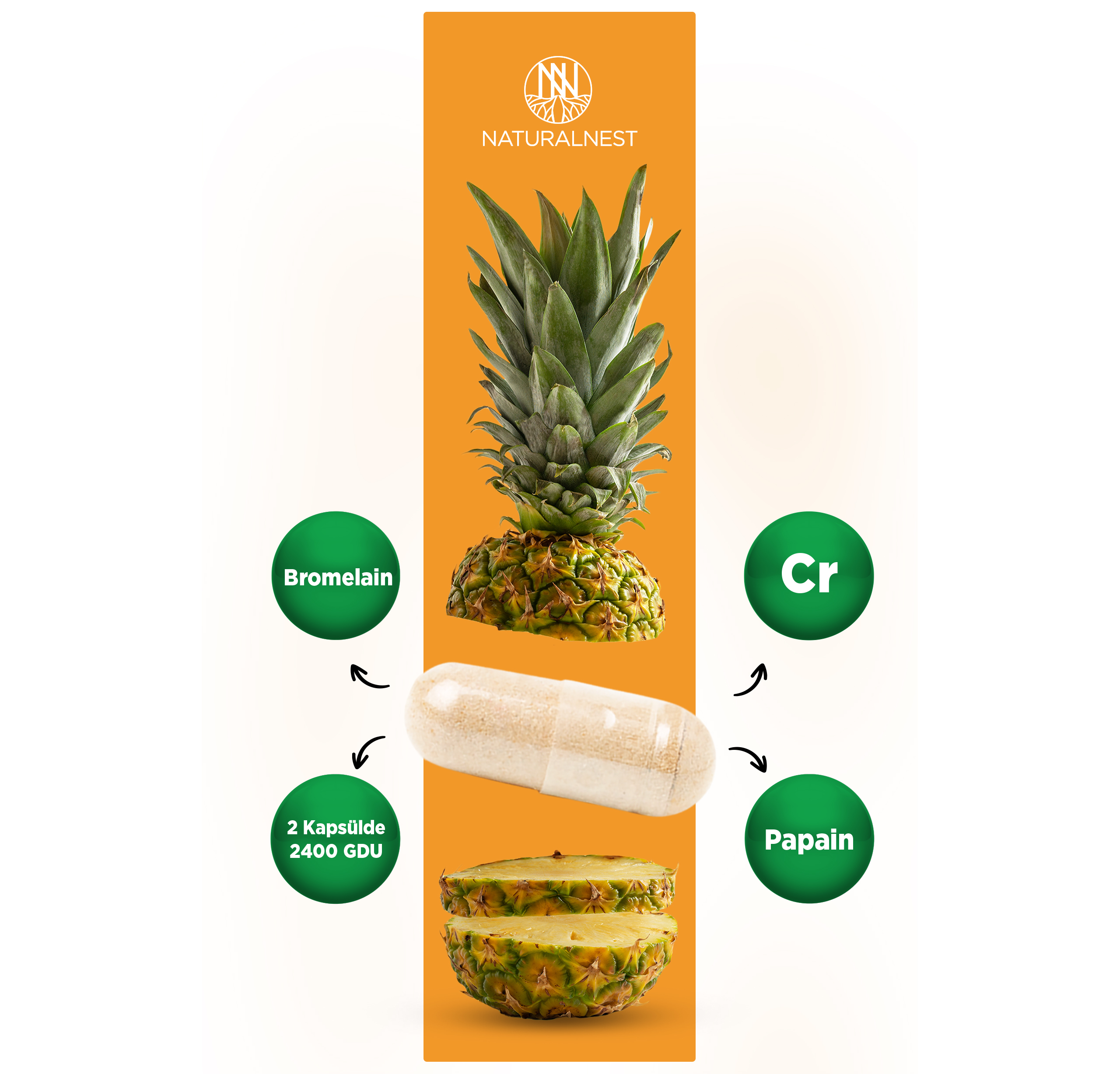 BROMELAIN PLUS - Görsel 3