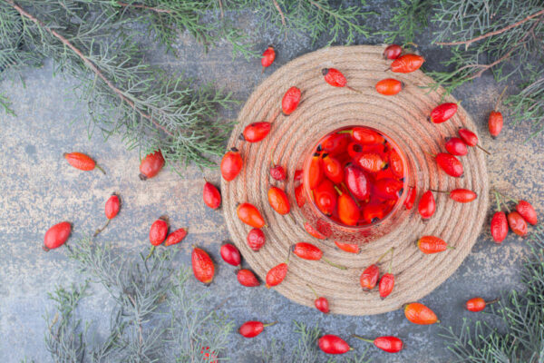 Kuşburnu Ekstresi Faydaları